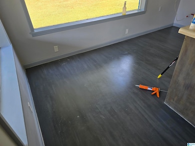 258 Jackson St, Rockford, AL 35136 - photo 5