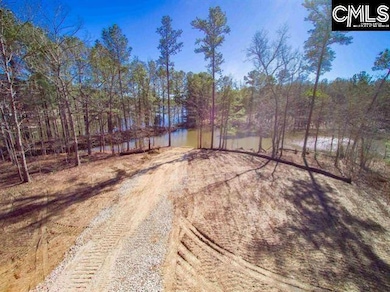 0 Red Star Rd unit Lot 5, Batesburg-Leesville, SC 29070 - photo 6