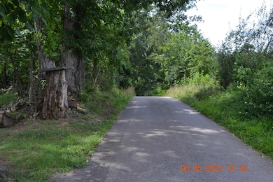 577 Curry Ridge Rd, Napier, WV 26631 - photo 3