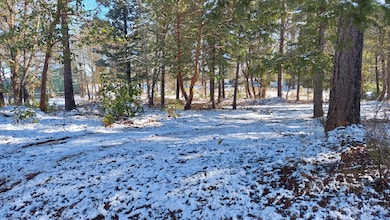 000 Redwood Hwy, Cave Junction, OR 97523 - photo 4