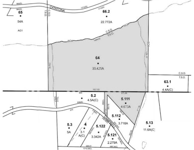 00 Campbell Hill Rd, Owego, NY 13827 - photo 2