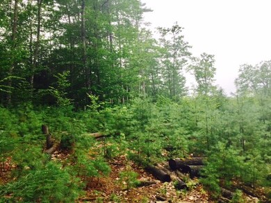 Lot 8 Gordon Hill Rd, New Hampton, NH 03256 - photo 4