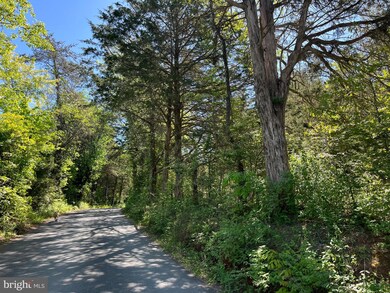 0 Harris Creek Rd unit VAAB2000634, Charlottesville, VA 22902 - photo 3