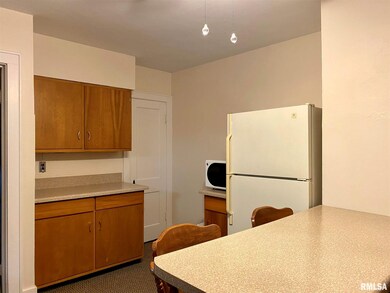 605 N Mclean St, Lincoln, IL 62656 - photo 4