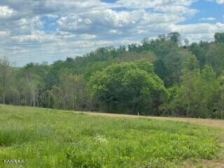 2 Clark Rd, Rutledge, TN 37861 - photo 4