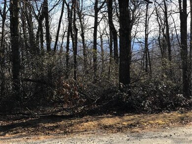View from 00 Arrowhead Trail, Lot #83
