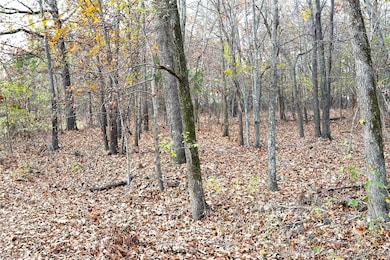 0 E 700 Dr unit 2548783, Wagoner, OK 74467 - photo 4