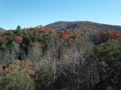 Potential View Front Right