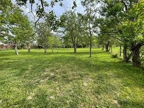 TBD Burton Cemetery Rd, Waller, TX 77484 - photo 6