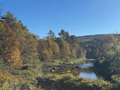 1808 Route 100b, Moretown, VT 05660 - photo 4