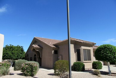 IMG_0300