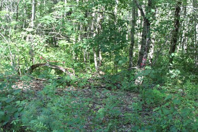 Lot #2 West St, Jefferson, ME 04348 - photo 2