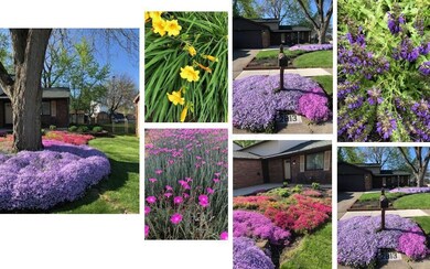 Such a colorful display of perennials