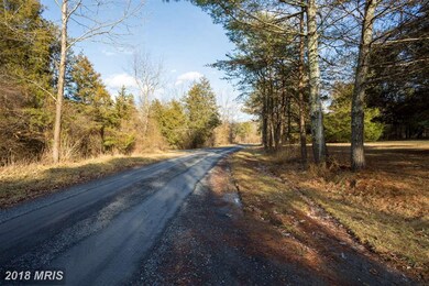 368 Sandpiper Dr, Basye, VA 22810 - photo 6