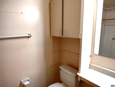 3 Turtle Creek Rd unit 3, Charlottesville, VA 22901 - photo 6