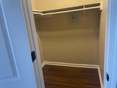 Walk in closet with wood-type flooring