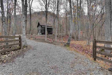 1875 Irish Creek Rd, Vesuvius, VA 24483 - photo 3