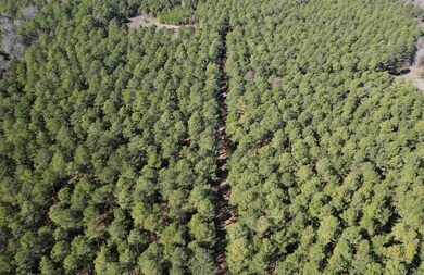 TBD County Road 3217, Atlanta, TX 75551 - photo 6