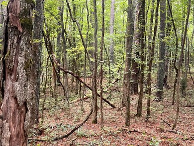 0 Lamb Rd unit 24477803, Moreland, GA 30259 - photo 7