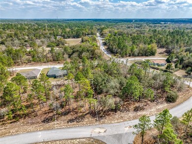 10725 N Moreno Dr, Citrus Springs, FL 34433 - photo 7