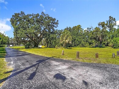 0 Mcintosh Rd unit MFRTB8433127, Dover, FL 33527 - photo 5