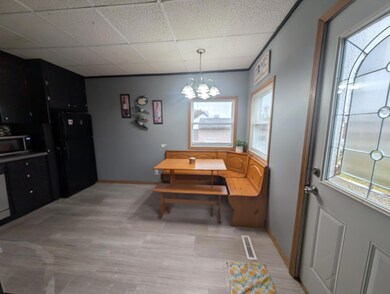 112 4th St SW, Pine Island, MN 55963 - photo 4