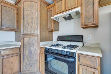 700 Desert Ash Dr, Horizon City, TX 79928 - photo 7