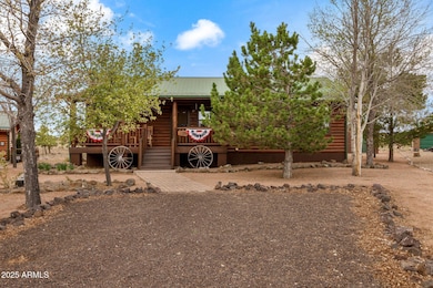 2664PalominoTrail-Overgaard-AZ-2