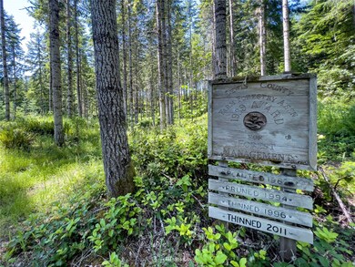 0 XXX Bunker Creek Rd, Chehalis, WA 98532 - photo 6