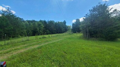 00 Union Grove Rd Lot 2 & 3 Photo 5