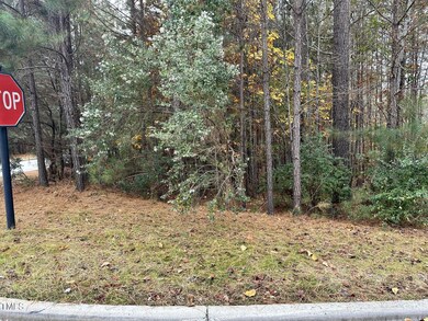 21 Bob White Way, Pittsboro, NC 27312 - photo 4