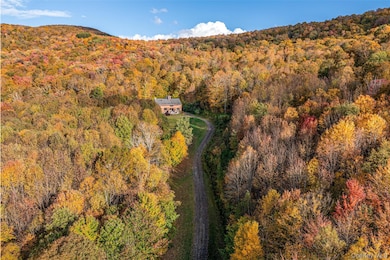 105 Stewart Rd, Roxbury, NY 12421 - photo 3