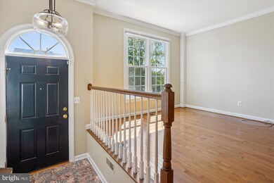 3618 Ransom Place, Alexandria, VA 22306 - photo 4