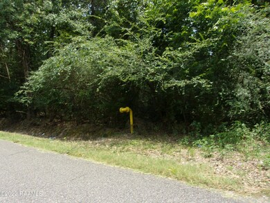 0 E Villien Ave unit 22006040, Abbeville, LA 70510 - photo 4