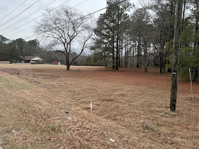 2491 Wedgefield Rd, Sumter, SC 29154 - photo 3