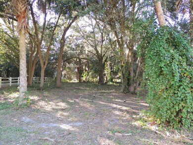 WOODED BACKYARD