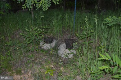 0 Deep Spring Rd unit WVGT102864, Dorcas, WV 26847 - photo 4