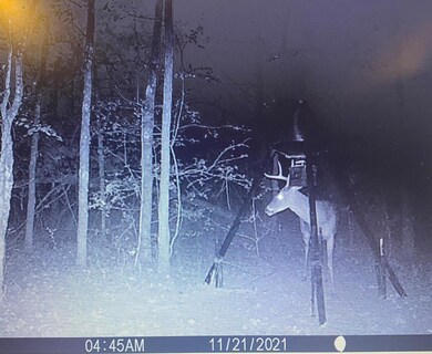 00 Cr 1316, Malakoff, TX 75148 - photo 5