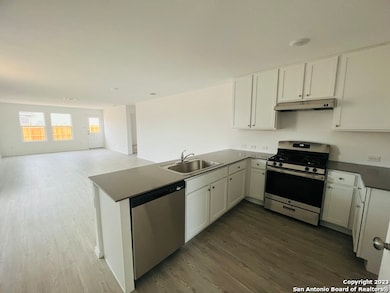 2520 Sweet Olive, New Braunfels, TX 78130 - photo 5