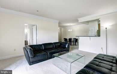 11306 Westbrook Mill Ln unit 202, Fairfax, VA 22030 - photo 4