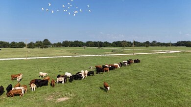 P2L28 463 County Rd, Mexia, TX 76667 - photo 5