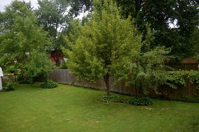 Pear and apple trees