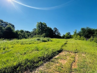 TBD Sims Thornhill Rd, Tylertown, MS 39667 - photo 4