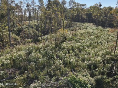 DJI_20241007101314_0025_V