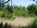 7035 Rolling Meadow Trail unit Lot 11, Harbor Springs, MI 49740 - photo 2