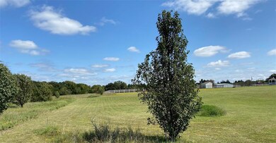 000 Harmony Loop, Tom Bean, TX 75090 - photo 2