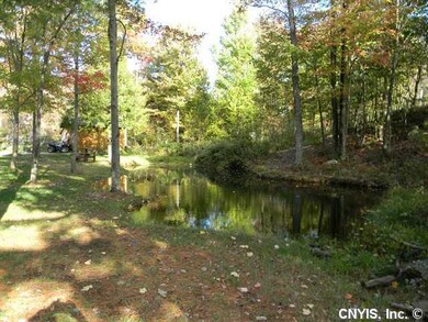Other Pond
