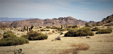 8000 Wesley Rd, Joshua Tree, CA 92252 - photo 5