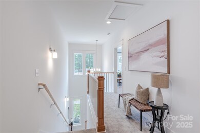 Model (Photo Similar)