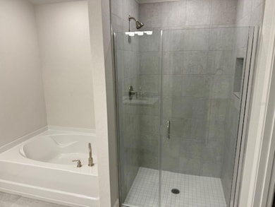 Primary Bath Shower and Tub
